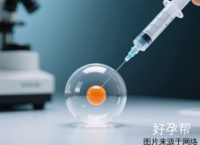 2025国内二代试管婴儿费用详解(附医院选择建议)